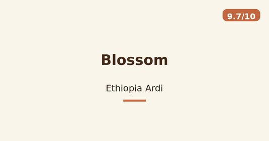 Blossom — Ethiopia Ardi