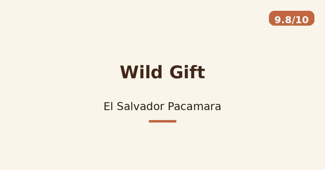 Wild Gift — El Salvador Pacamara