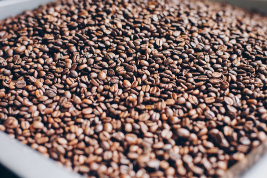 All Stars Coffee Subscription